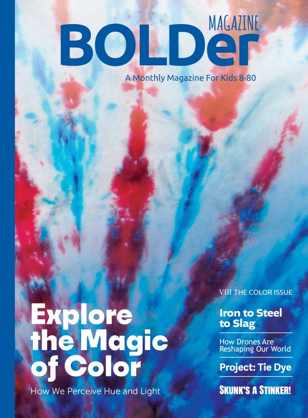 The Color Issue (VIII) 