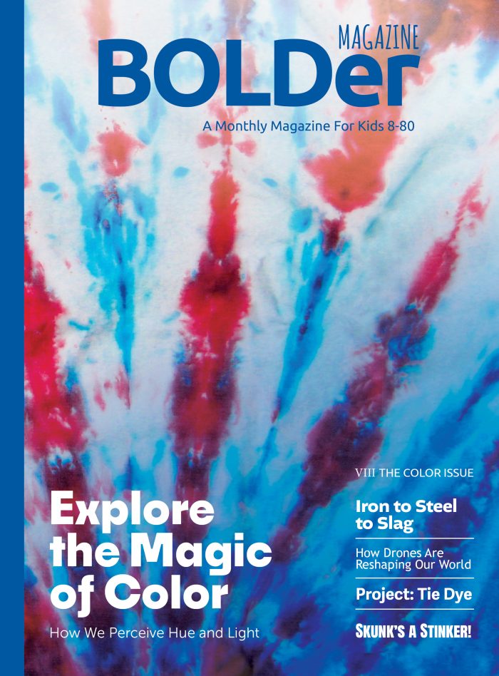 The Color Issue (VIII) 