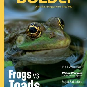 The Water Issue (IX) 