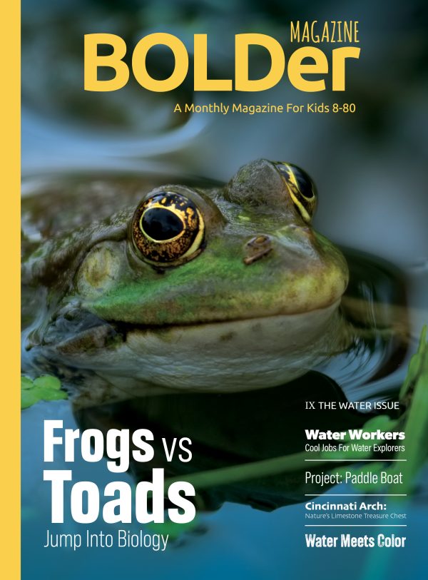 The Water Issue (IX) 