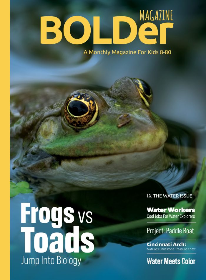 The Water Issue (IX) 