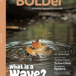 The Wave Issue (XIII)