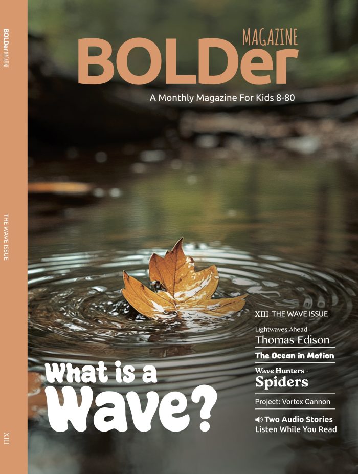 The Wave Issue (XIII)