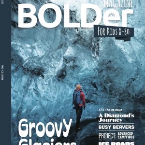 The Ice Issue (XVI)