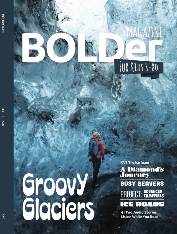 The Ice Issue (XVI)