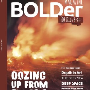 The DEEP Issue (XVII)